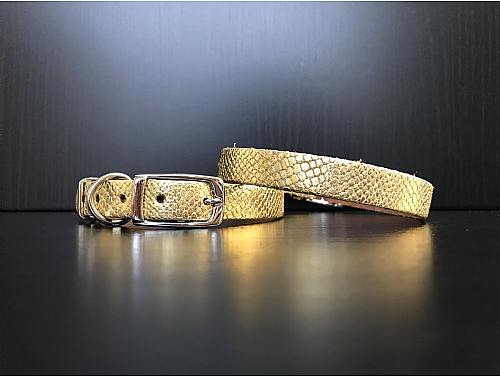 Gold Snake Skin - Leather Dog Collar - Size S